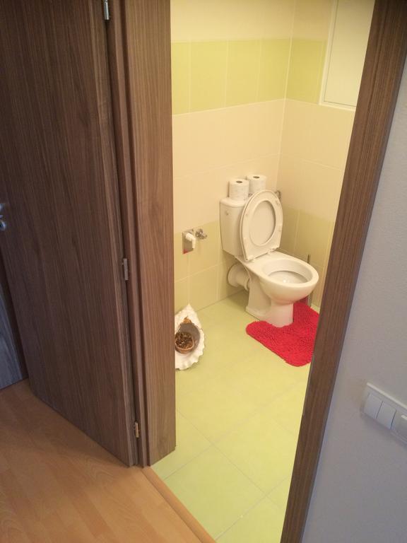 Apartment Fiala 올로모우츠 객실 사진